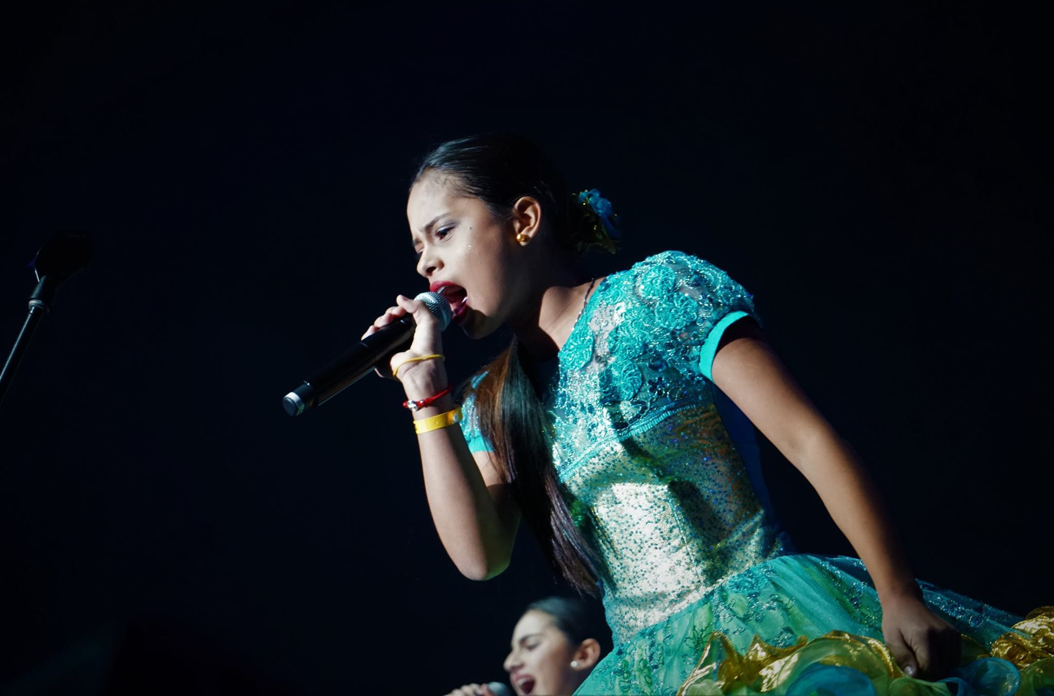 Voces del Joropo 3