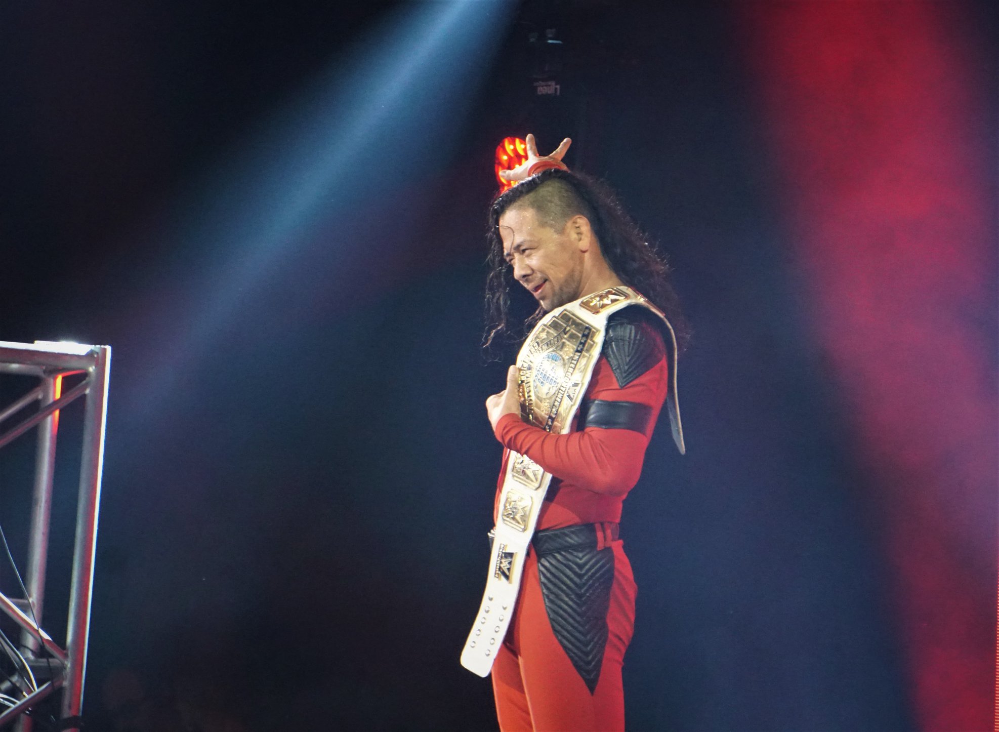 WWE 15
