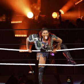 WWE 15