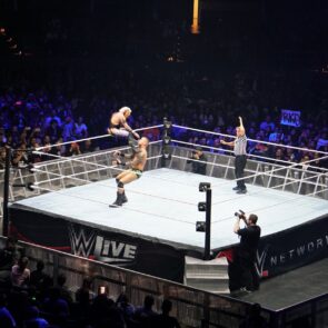 WWE 15