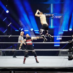 WWE 15