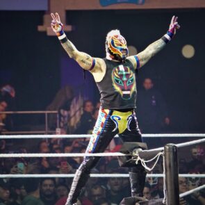 WWE 15