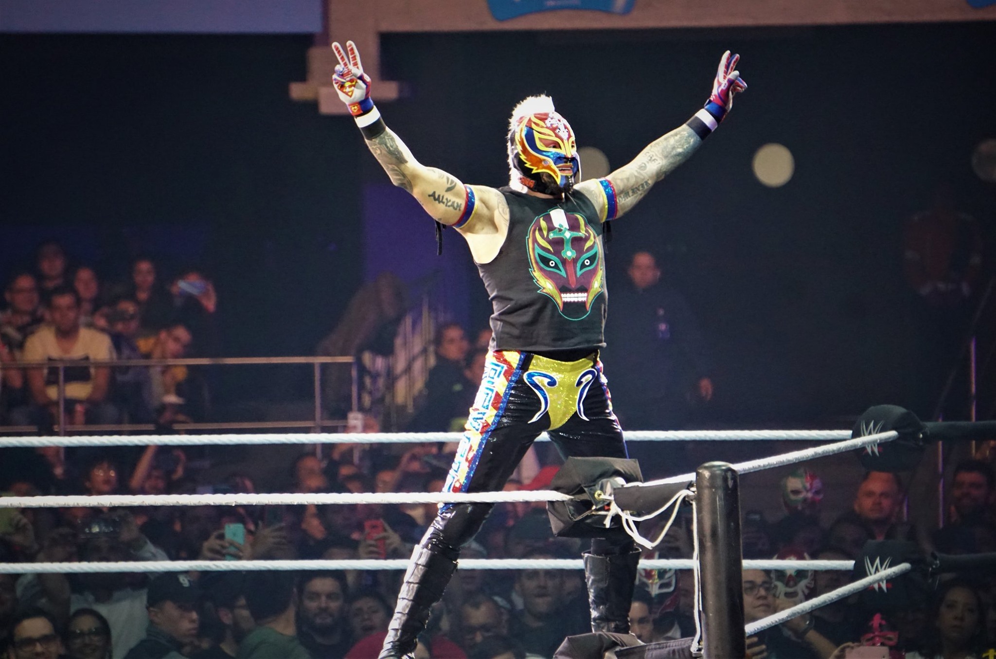 WWE 15