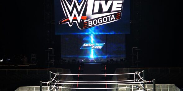 WWE 15