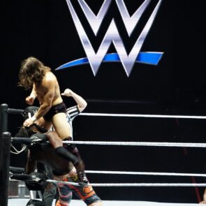 WWE 15