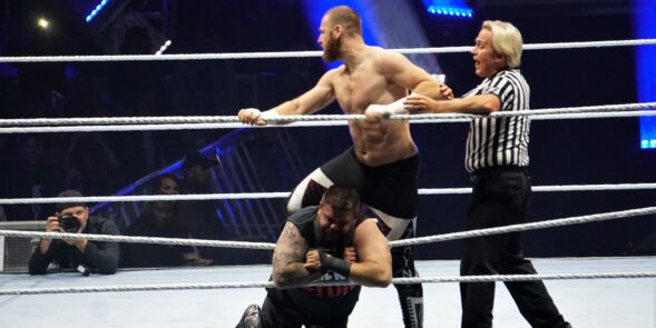 WWE 15