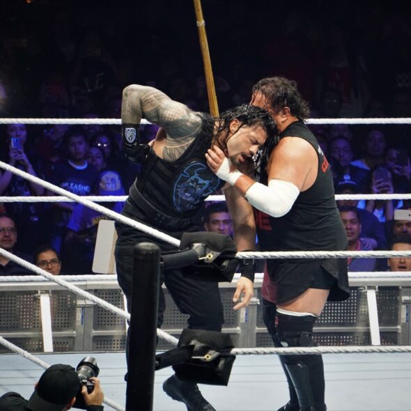 WWE 15