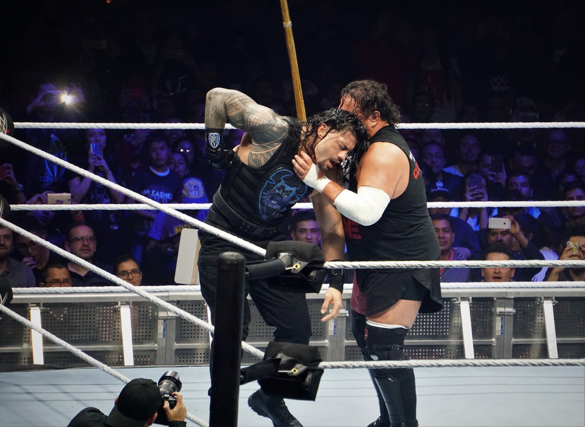 WWE 15
