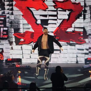 WWE 15