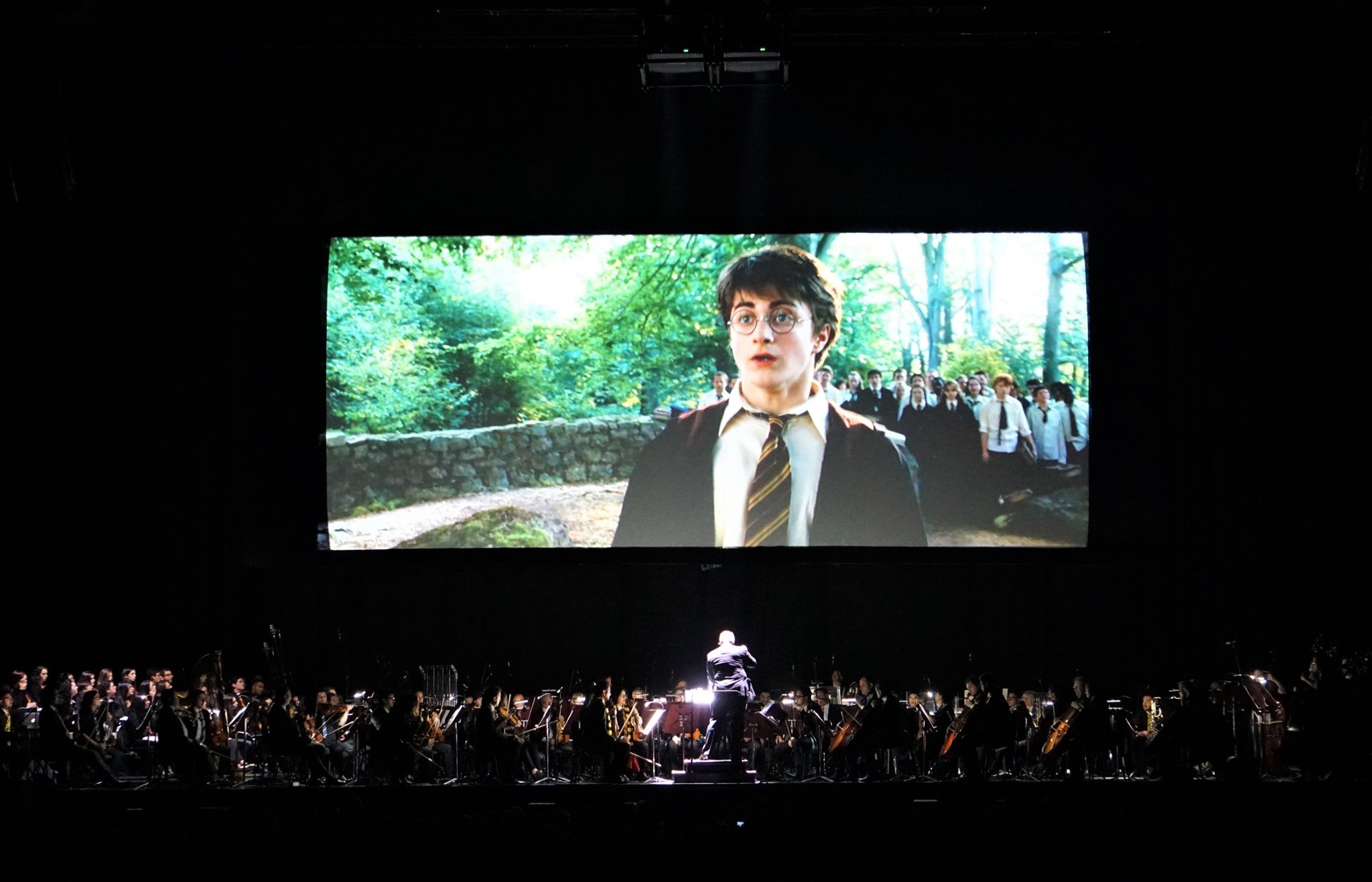 Harry Potter 13