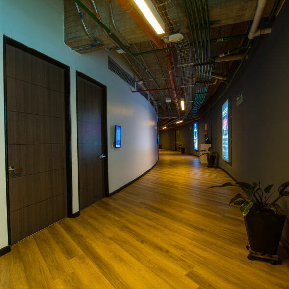 Suites 33