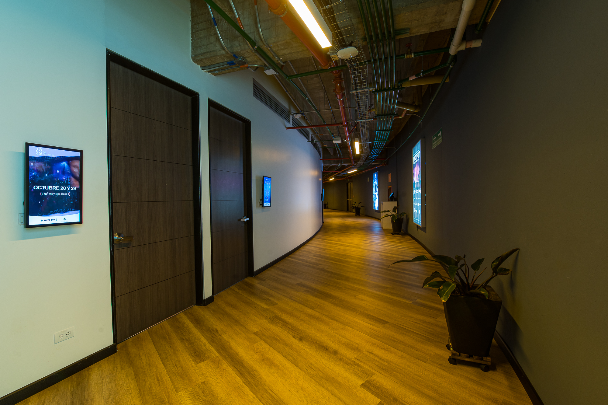 Suites 33