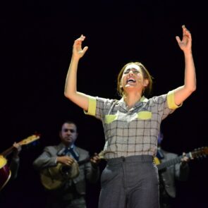 CHAVELA POR SIEMPRE VARGAS 8