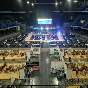 Gran Remate Vía Láctea 2022 2