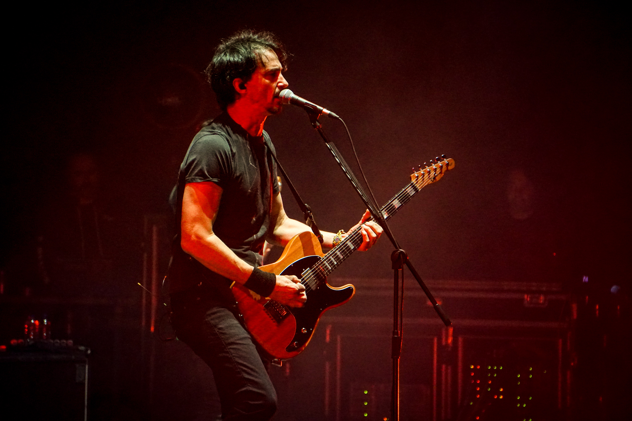 GOJIRA 12