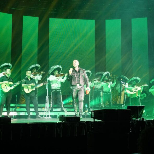 ALEJANDRO FERNÁNDEZ 13