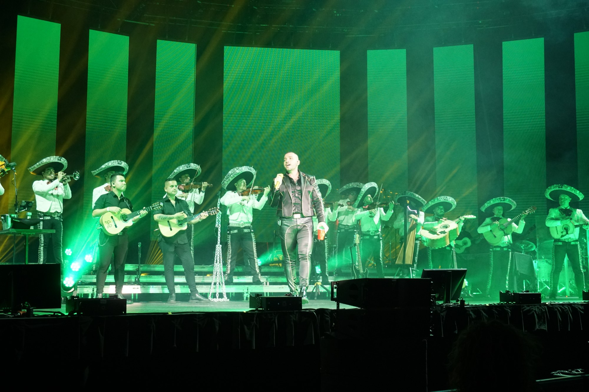 ALEJANDRO FERNÁNDEZ 13
