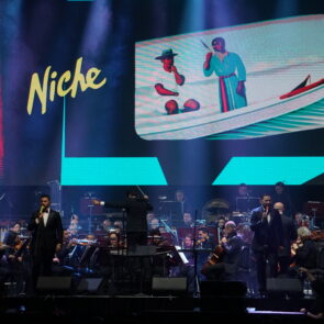 NICHE SINFÓNICO 28