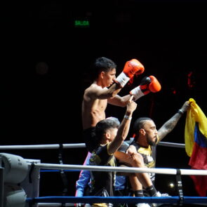 STREAM FIGHTERS 2 17