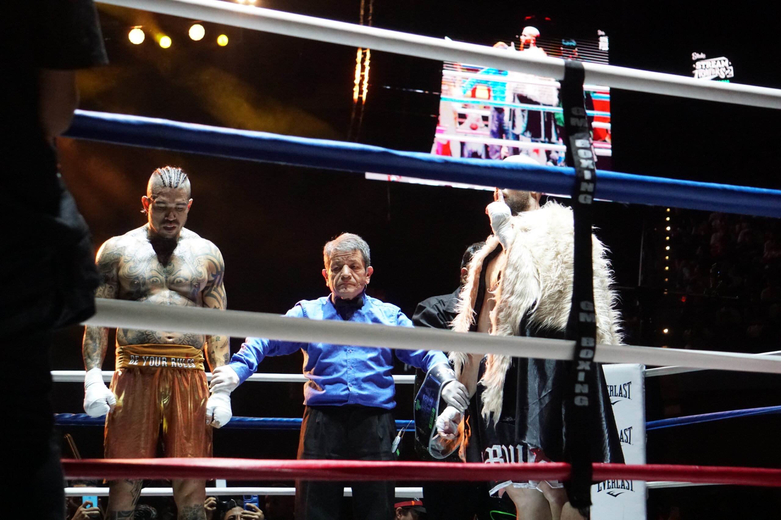 STREAM FIGHTERS 2 7