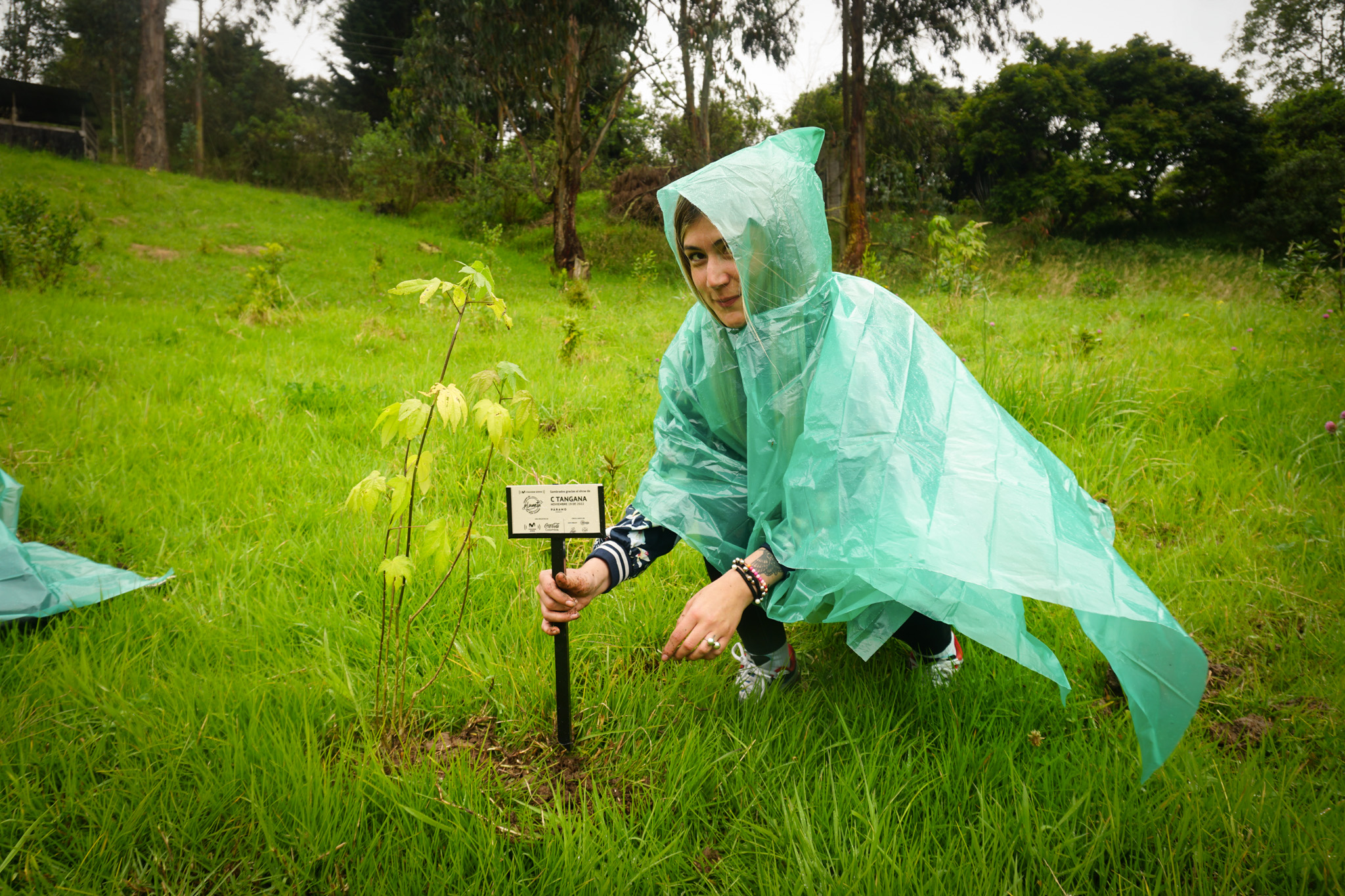 Bosque Corazón de Bogotá 9