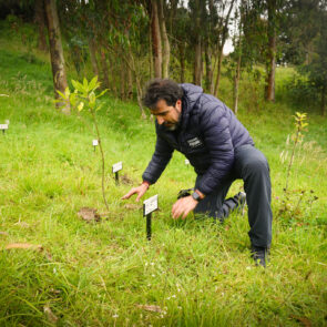 Bosque Corazón de Bogotá 11