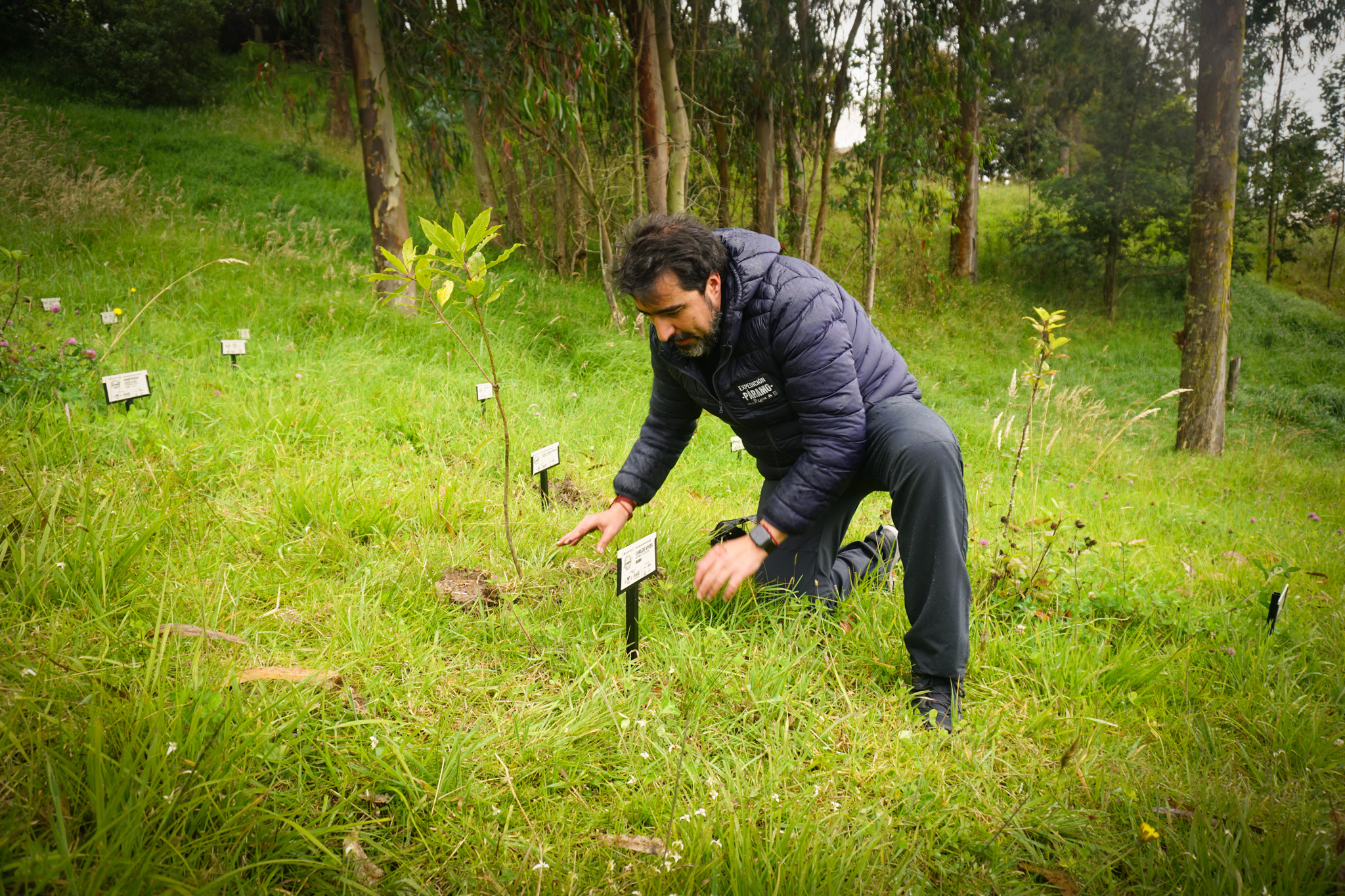 Bosque Corazón de Bogotá 11