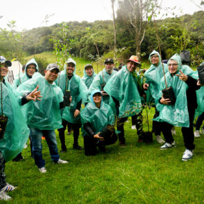 Bosque Corazón de Bogotá 12