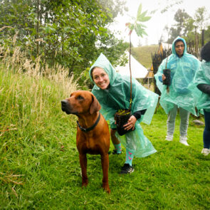 Bosque Corazón de Bogotá 13