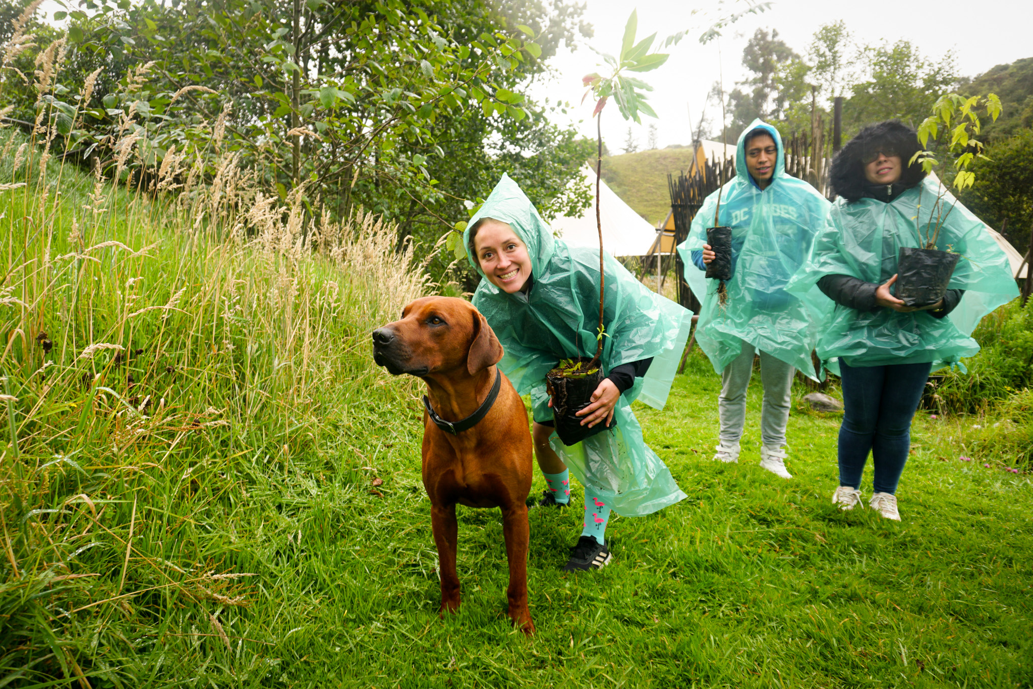 Bosque Corazón de Bogotá 13