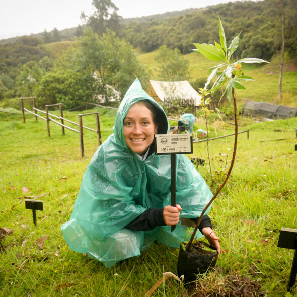 Bosque Corazón de Bogotá 14