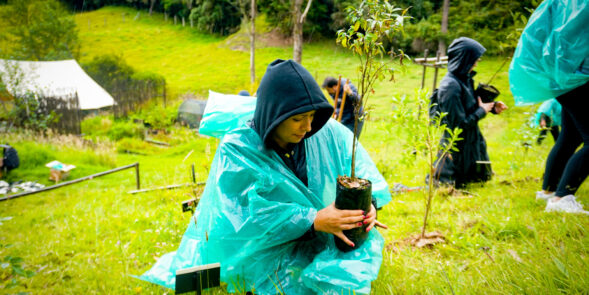 Corazón de Bogotá Reforestación