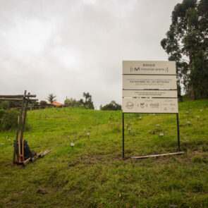 Bosque Corazón de Bogotá 21