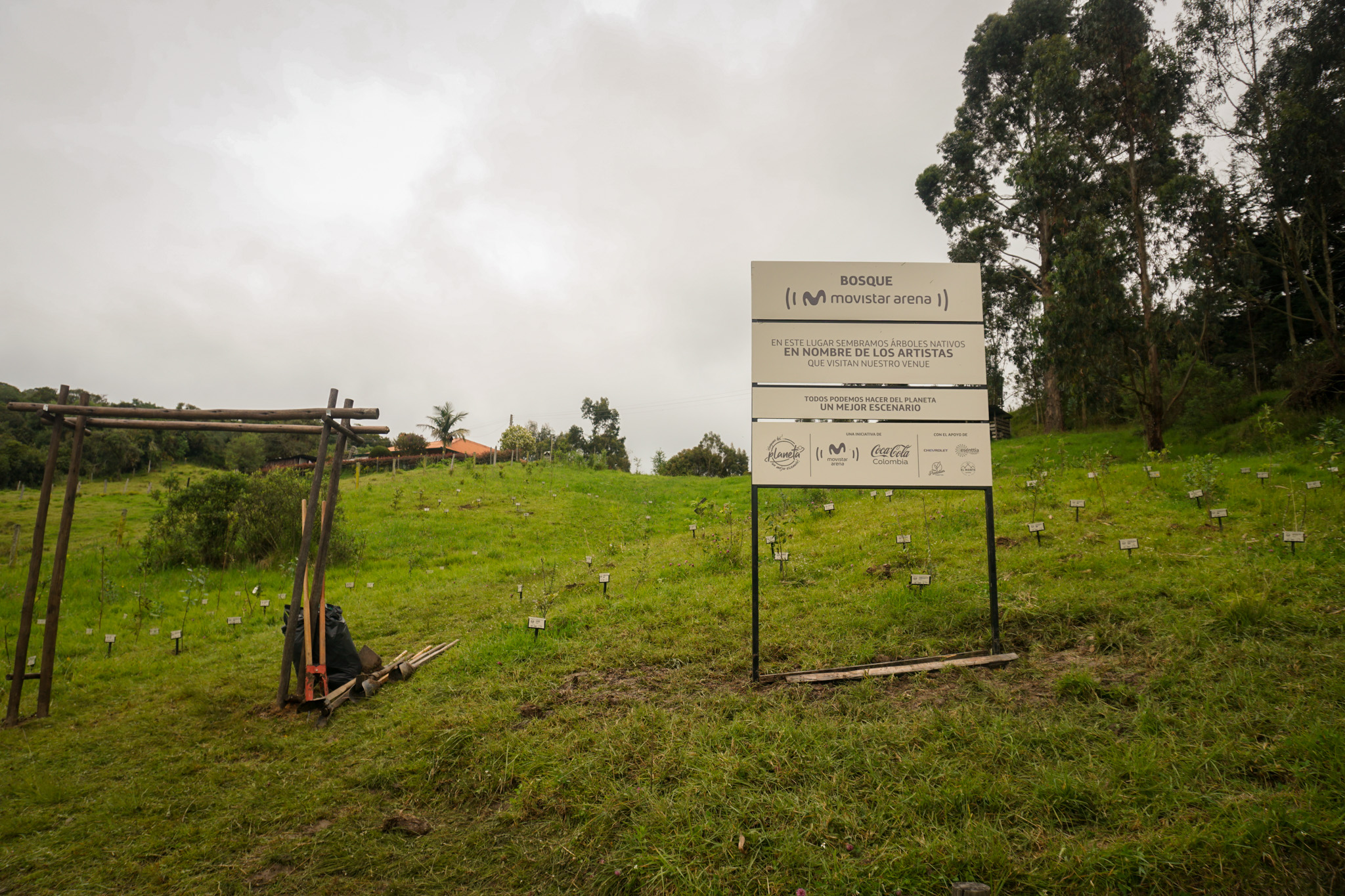 Bosque Corazón de Bogotá 21