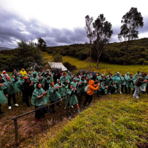 Corazón de Bogotá y The Plantation Project