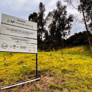 Bosque Corazón de Bogotá 25
