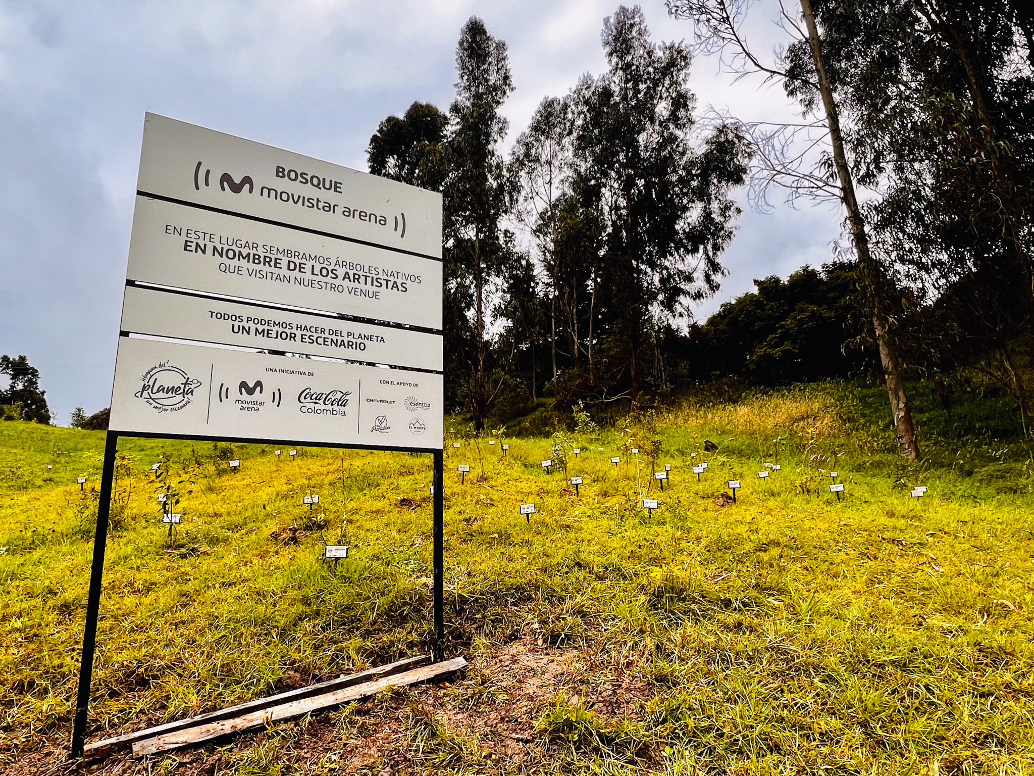 Bosque Corazón de Bogotá 25