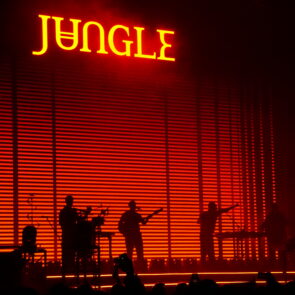 JUNGLE 9