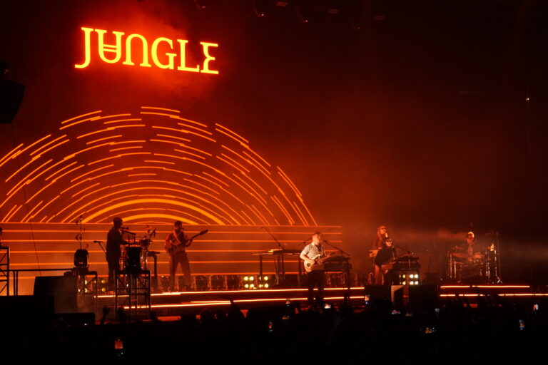 JUNGLE 11