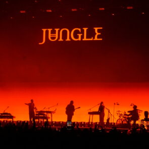 JUNGLE 6