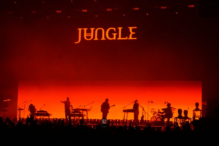 JUNGLE 6