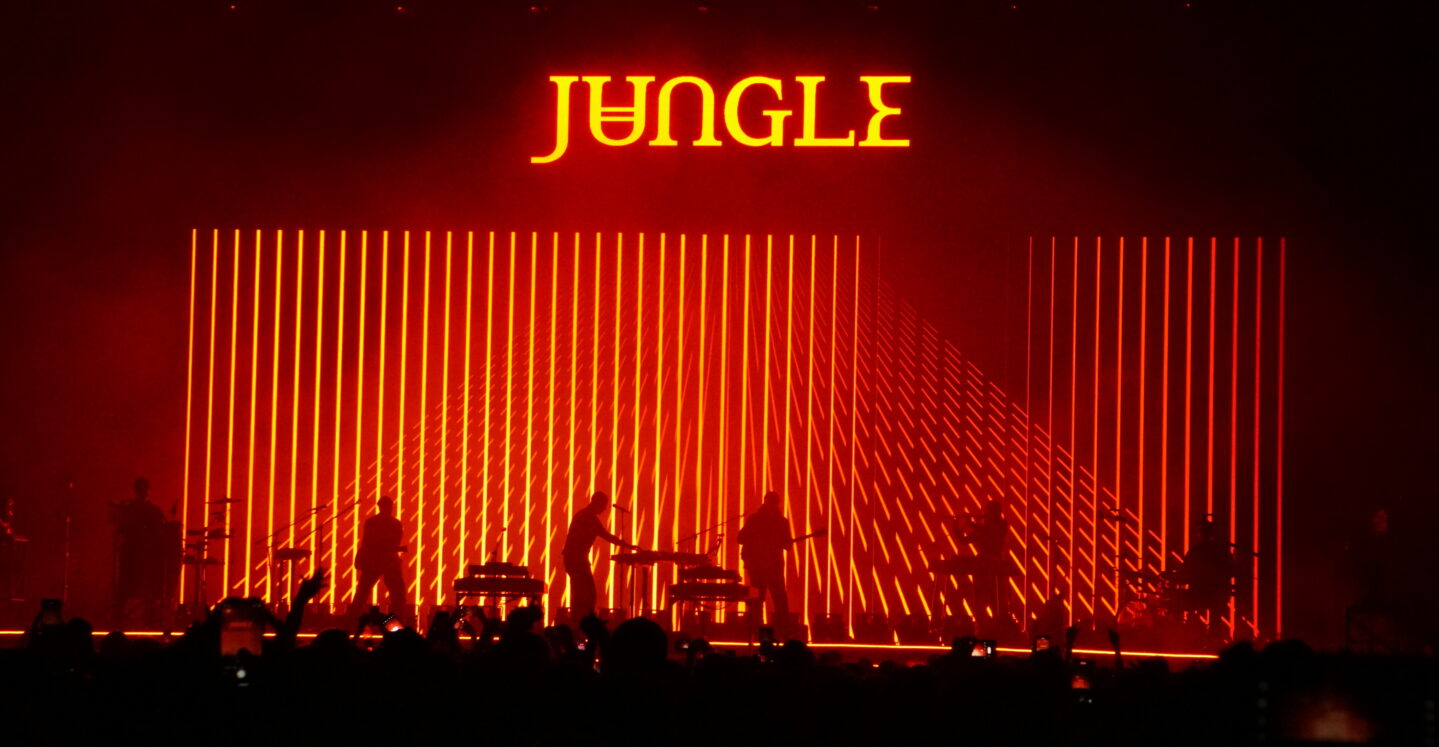 JUNGLE 8