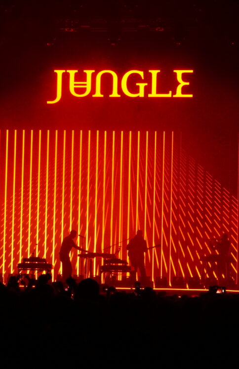 JUNGLE 8
