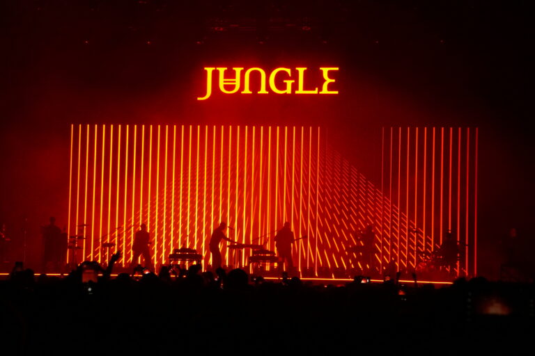 JUNGLE 8
