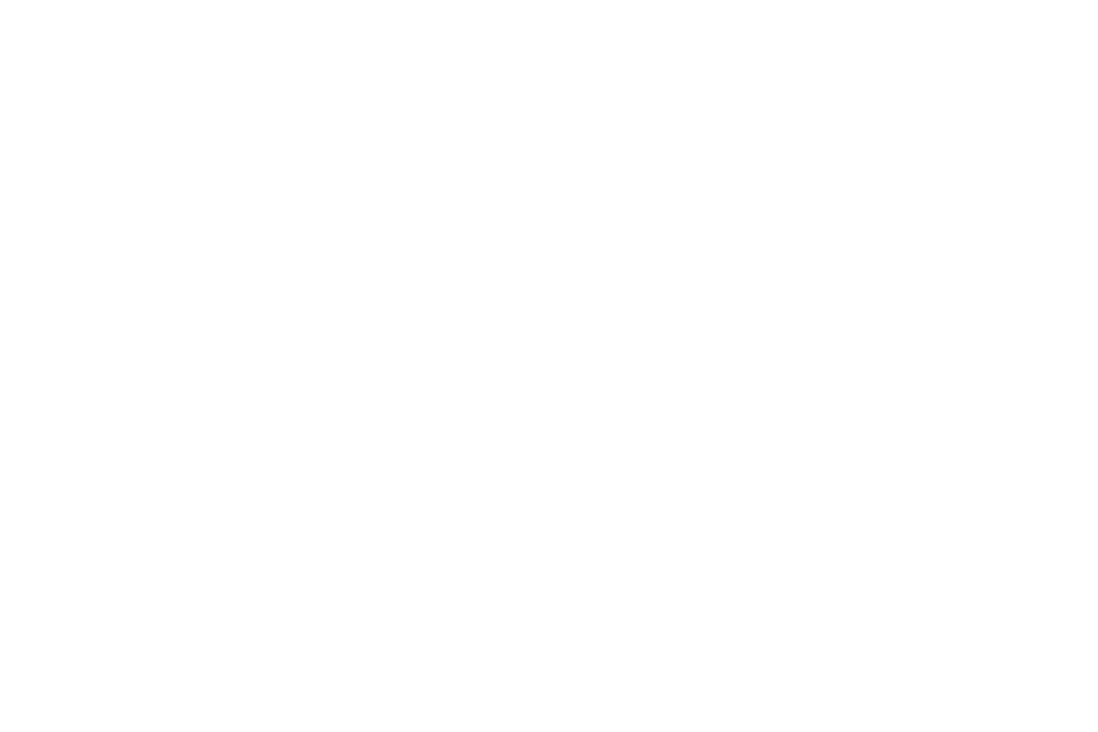 Logo Plantation Project blanco