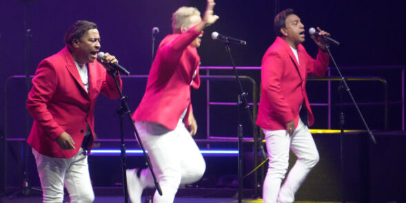 SIN MERENGUE NO HAY FIESTA, DANNY MARÍN Y SUS AMIGOS 26