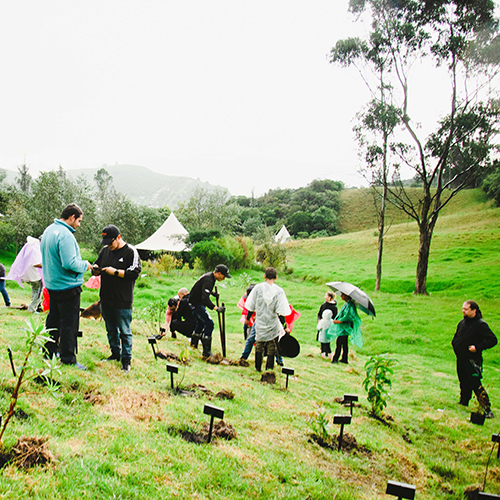 Bosque Corazón de Bogotá 209