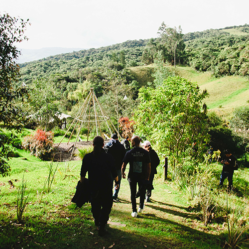 Bosque Corazón de Bogotá 211