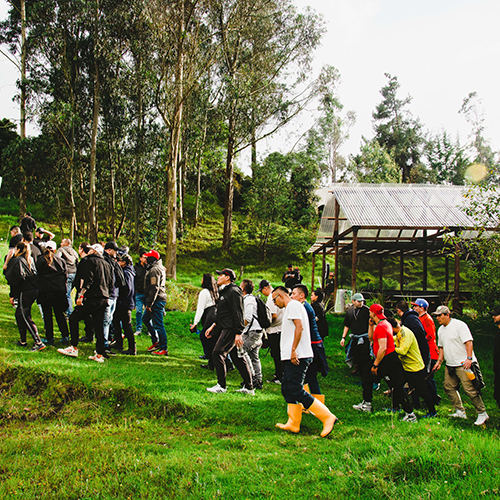 Bosque Corazón de Bogotá 217