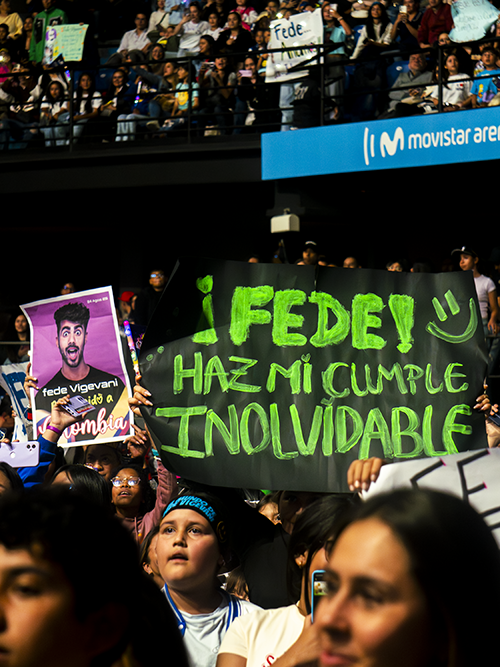 EL MUNDO DE FEDE VIGEVANI 29